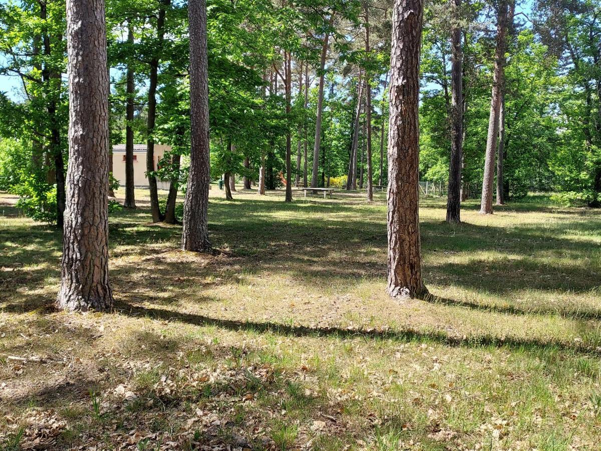 Camping Onlycamp Les Pins Nancay 외부 사진